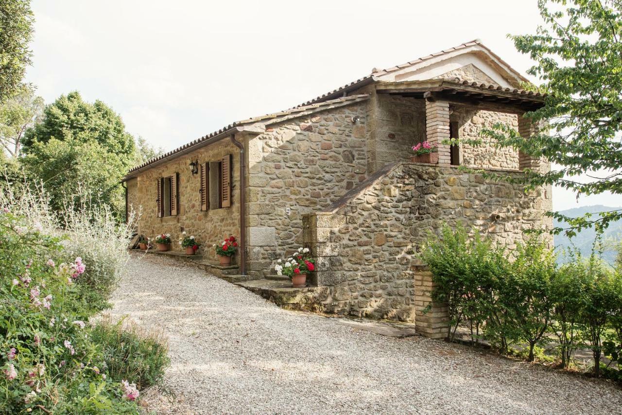 Pensjonat Casa Rancacci Mercatale  Zewnętrze zdjęcie